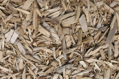 biomass boilers Fernie