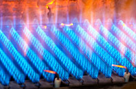 Fernie gas fired boilers